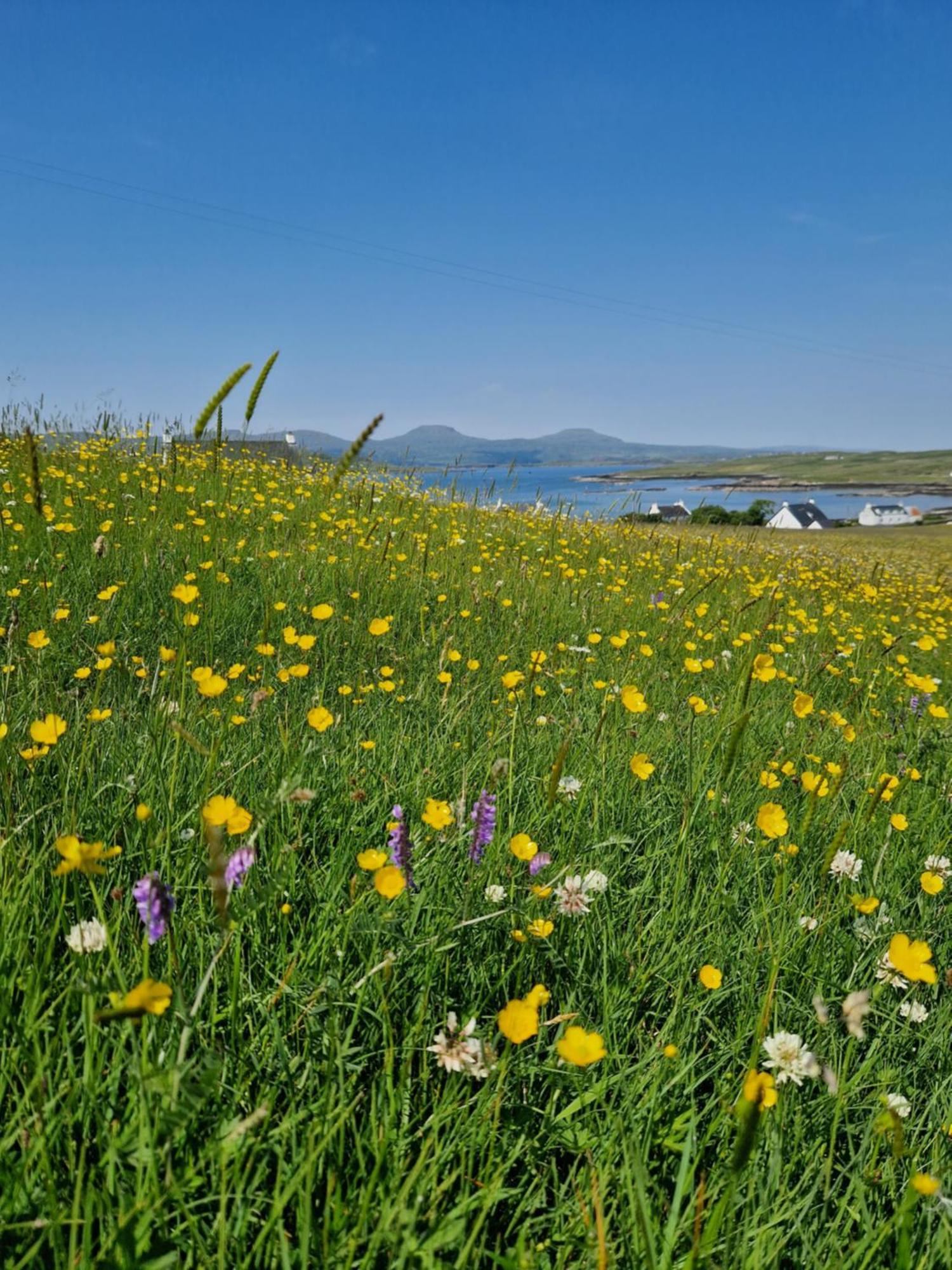 Ornum Self Catering Cottage Eabost Buitenkant foto
